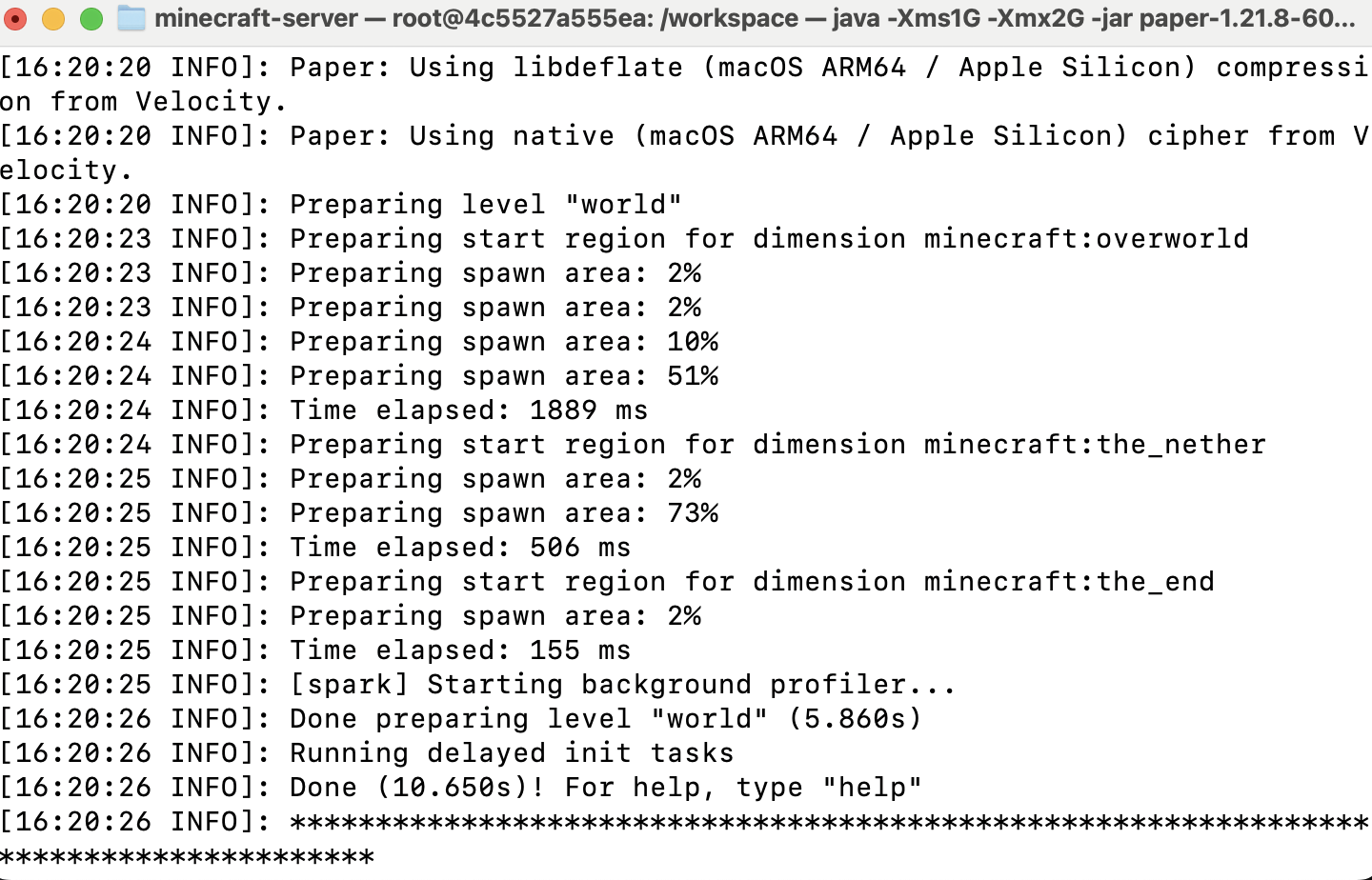 Start PaperMC server from JAR