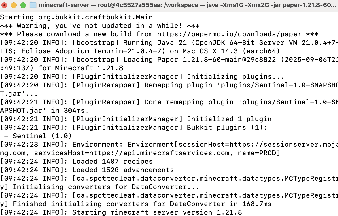 Load plugin on startup