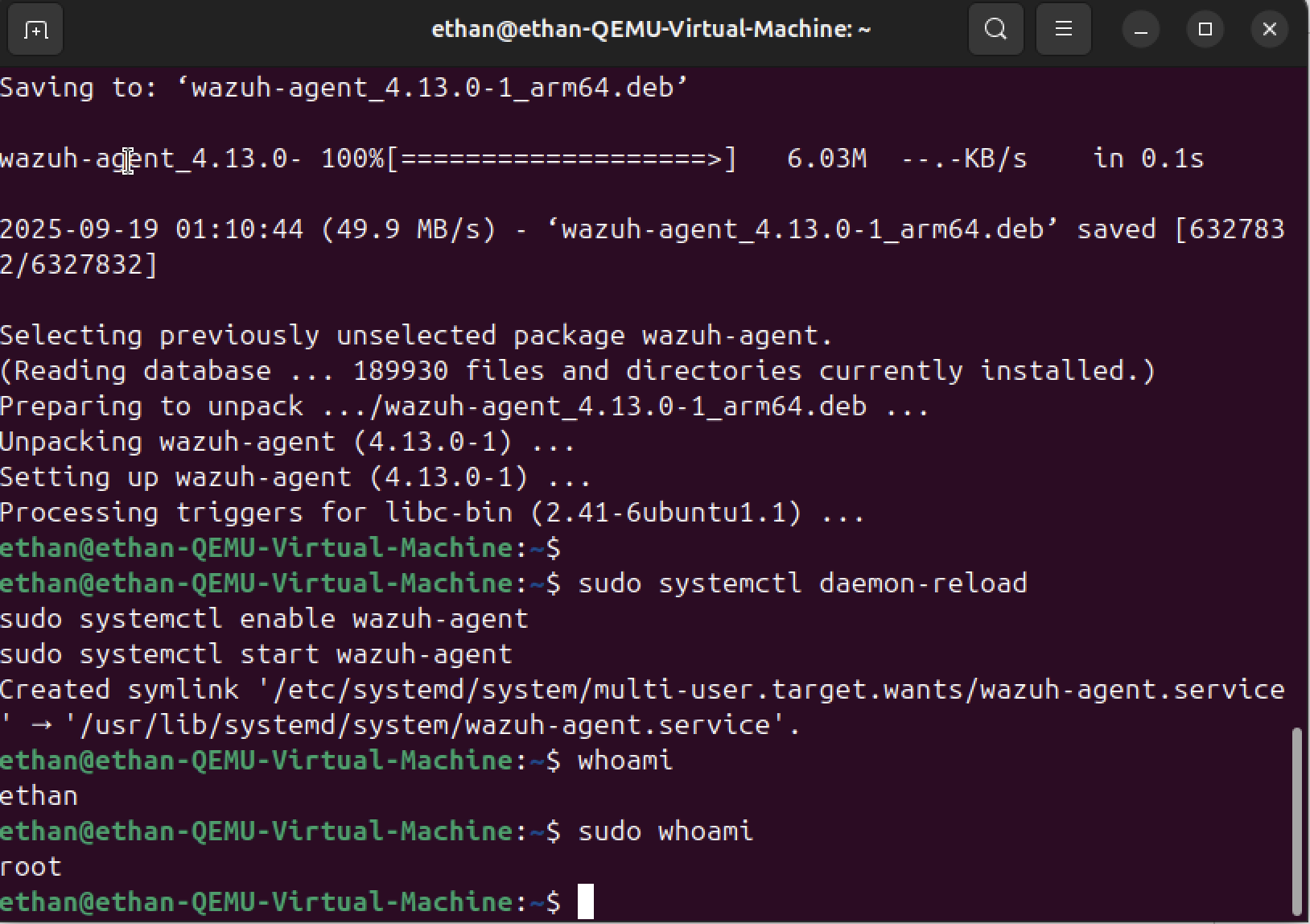 Step 10 - sudo attempts