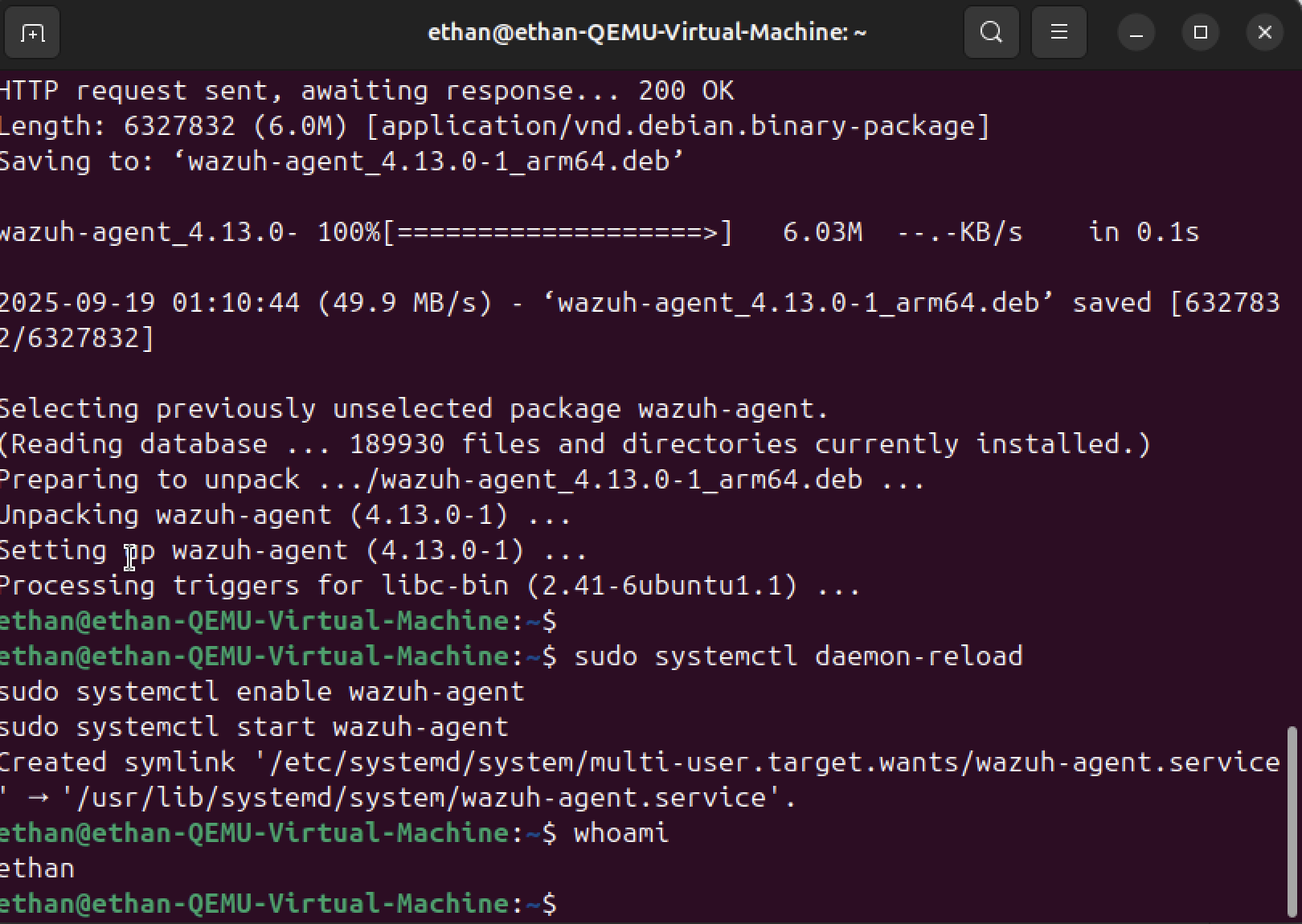 Step 9 - whoami telemetry