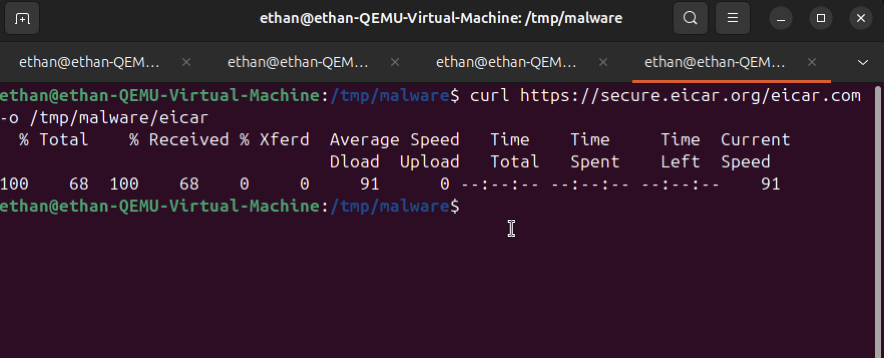 EICAR Test Malware